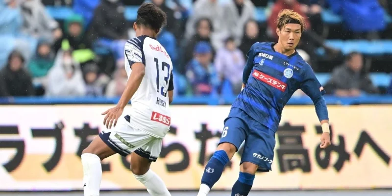 Мито Холлихок - Оита