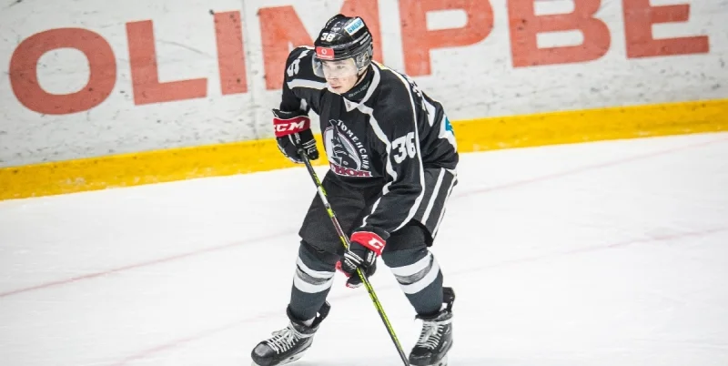 Тюменский Легион - Чайка