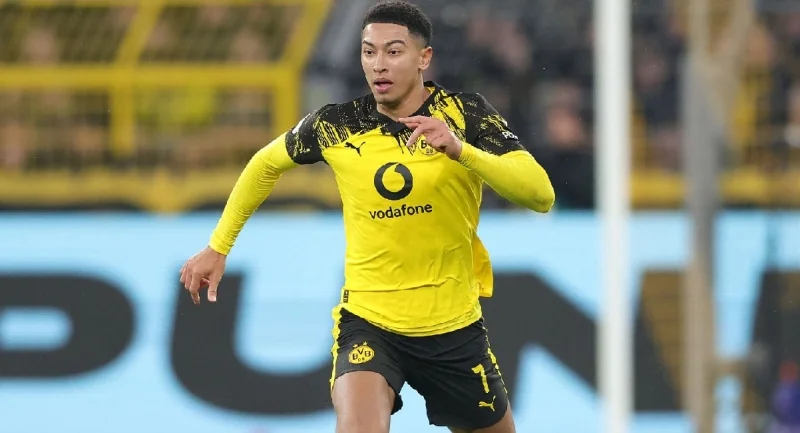 Боруссия Д - Хоффенхайм