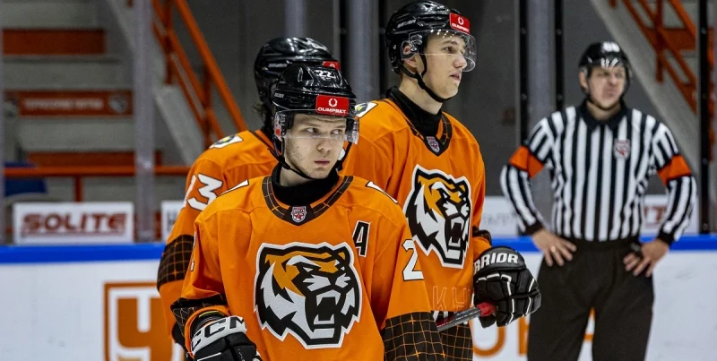 Амурские Тигры - Динамо-Карелия Амурские Тигры - Динамо-Карелия