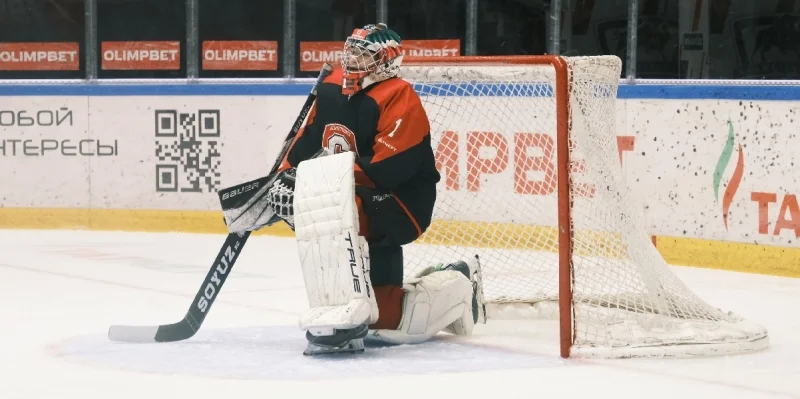 Спутник Альметьевск - Сибирские Снайперы