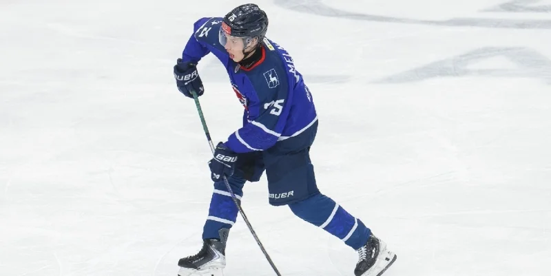 Чайка - Мамонты Югры Чайка - Мамонты Югры