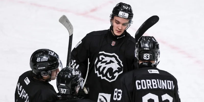 Белые Медведи - Стальные Лисы