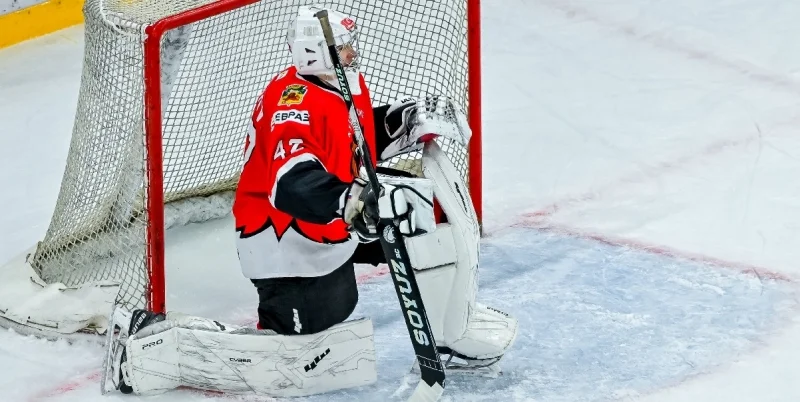 Кузнецкие Медведи - Чайка