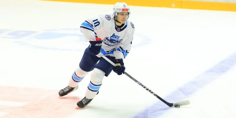 Сибирские Снайперы - Снежные Барсы