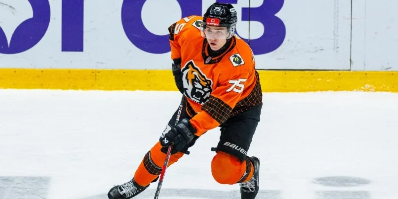 Амурские Тигры - Капитан Амурские Тигры - Капитан