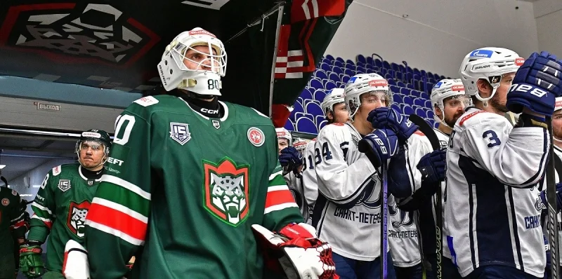 Барс - Сокол