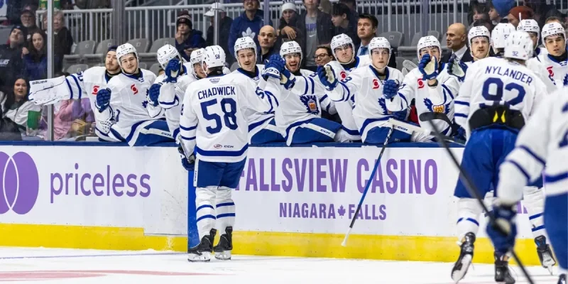 Торонто - Виннипег Джетс Торонто - Виннипег Джетс