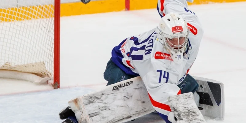 Крылья Советов - Амурские Тигры