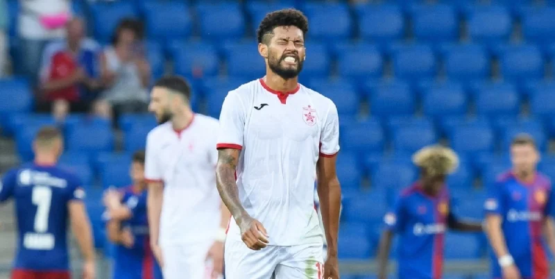 Партизани - Вора