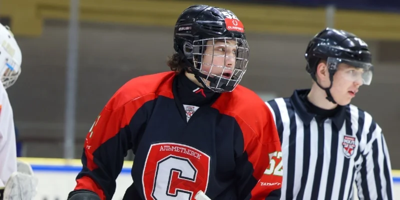 Спутник Альметьевск - Белые Медведи