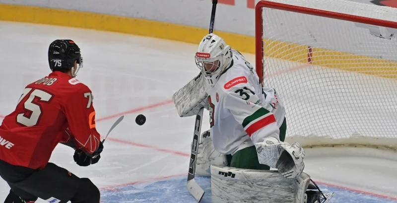 Омские Ястребы - Снежные Барсы