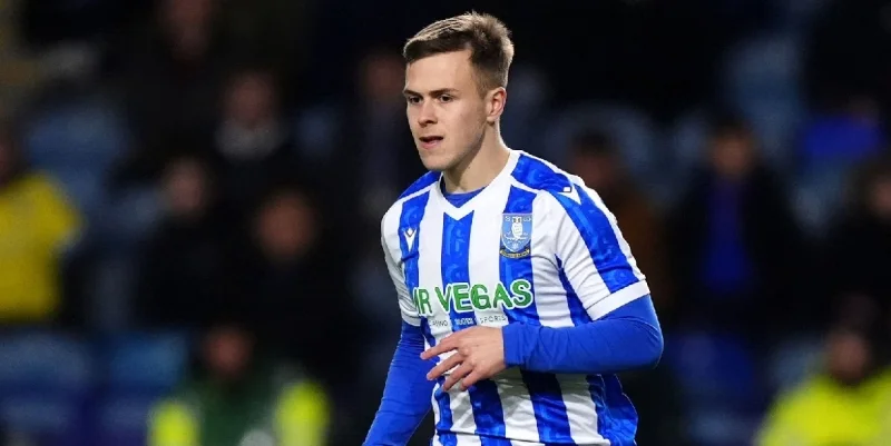 Бристоль Сити - Шеффилд Уэнсдэй