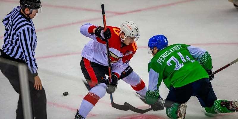 Омские Ястребы - Толпар