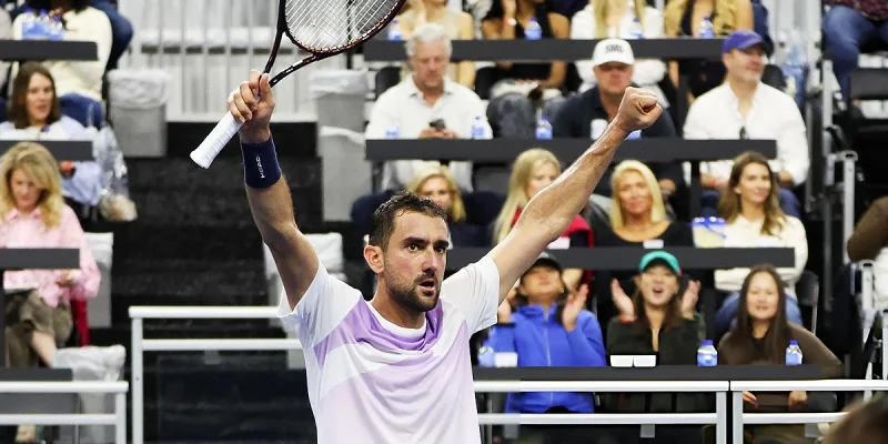 Итан Куинн - Марин Чилич