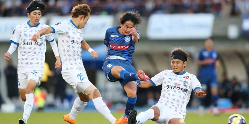 Мито Холлихок - Чиба