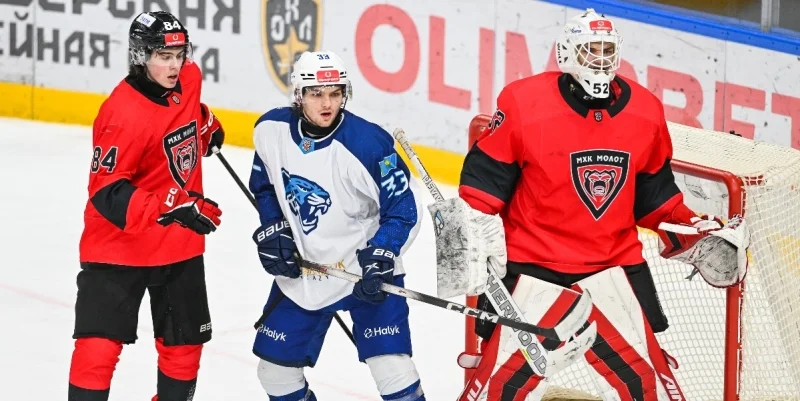 Снежные Барсы - Чайка