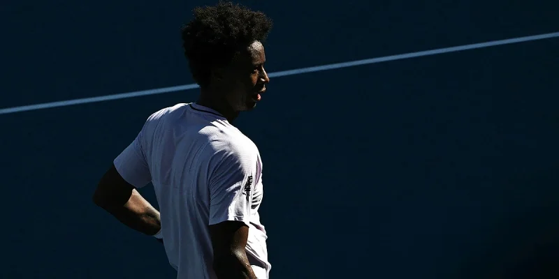 Дамир Джумхур - Гаэль Монфис