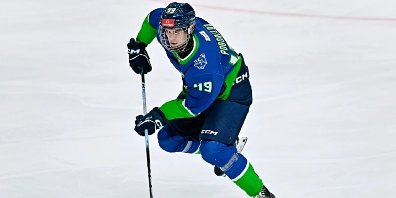 Капитан - Динамо-Карелия