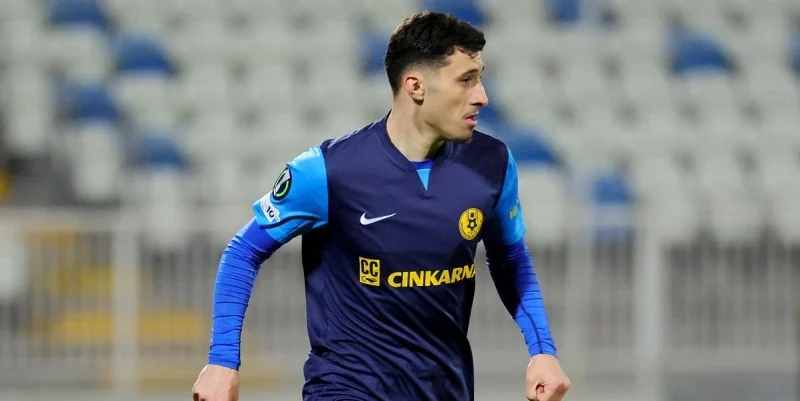 Целе - Дрита Целе - Дрита