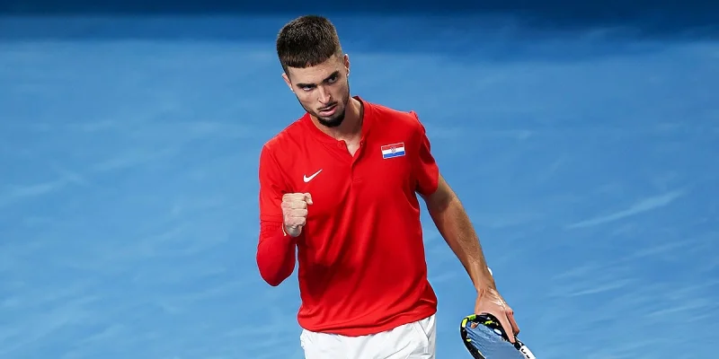 Дино Призмич - Тристан Скулкейт