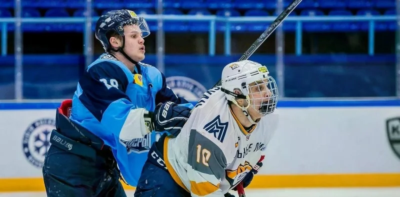 Стальные Лисы - Сибирские Снайперы