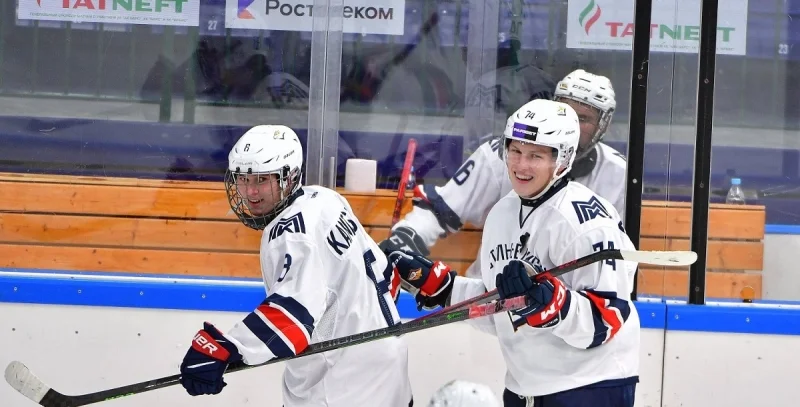 Стальные Лисы - Снежные Барсы