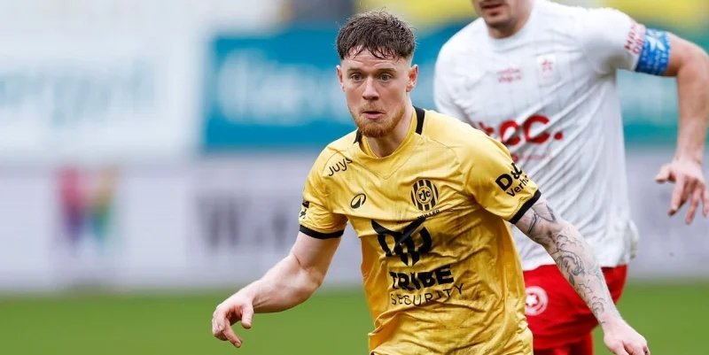 Камбур - Рода