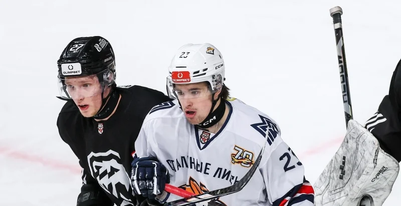 Белые Медведи - Стальные Лисы