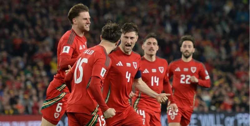 Уэльс - Босния и Герцеговина
