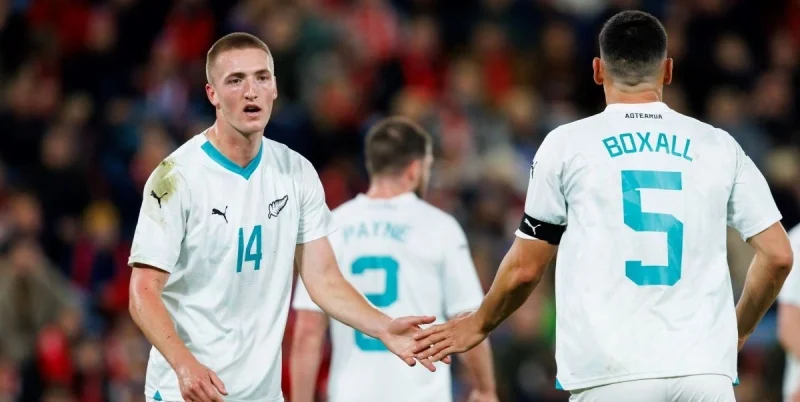 Новая Зеландия - Финляндия