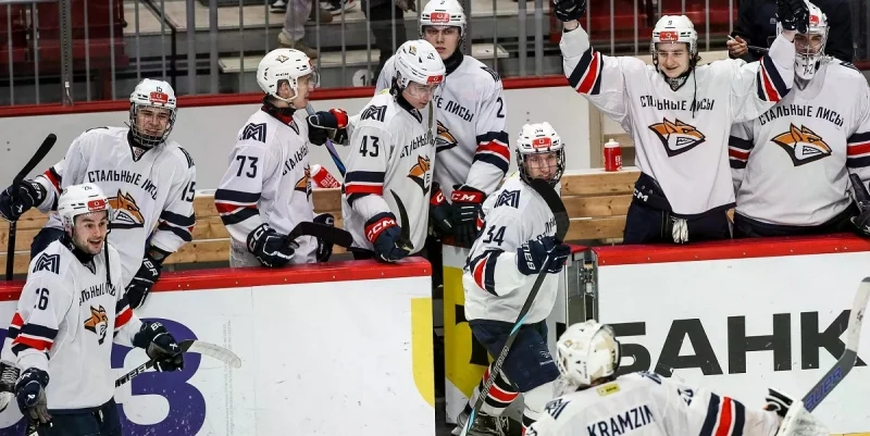 Стальные Лисы - Белые Медведи