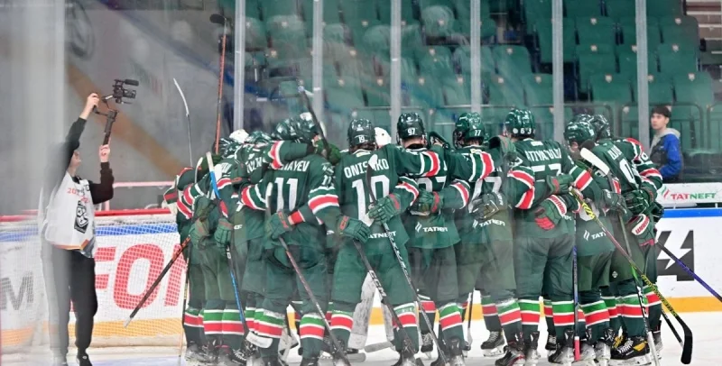 Ирбис Казань - Чайка