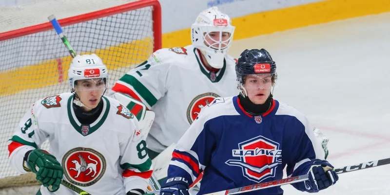 Чайка - Ирбис Казань