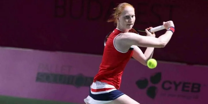 Доминика Цибулкова - Алисон ван Уйтванк