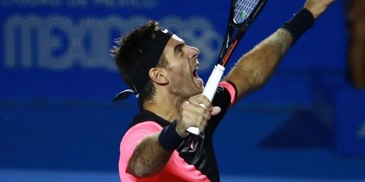 - Давид Феррер - Давид Феррер