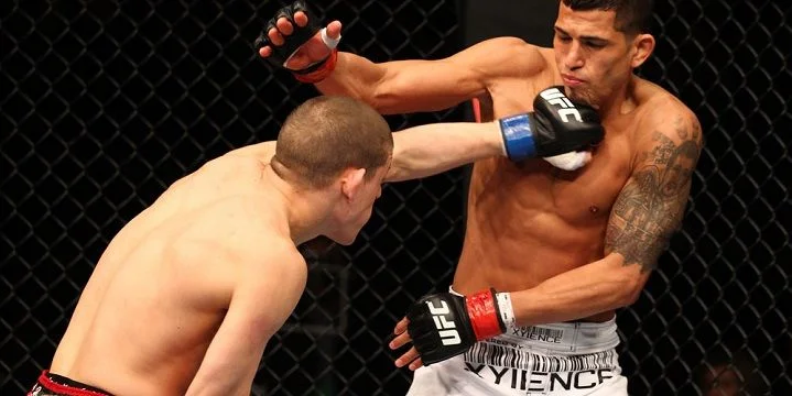 Джо Лоузон - 