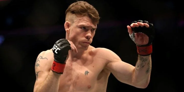 Эл Яквинта - Пол Фелдер