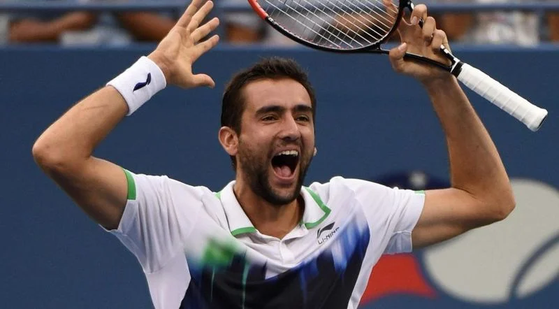 Фернандо Вердаско - Марин Чилич