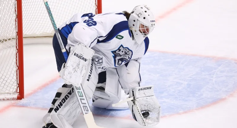 Шанхайские Драконы - Барыс Шанхайские Драконы - Барыс