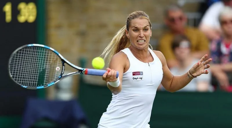 Доминика Цибулкова - Мария Шарапова