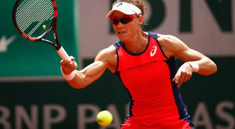 Доминика Цибулкова - Саманта Стосур