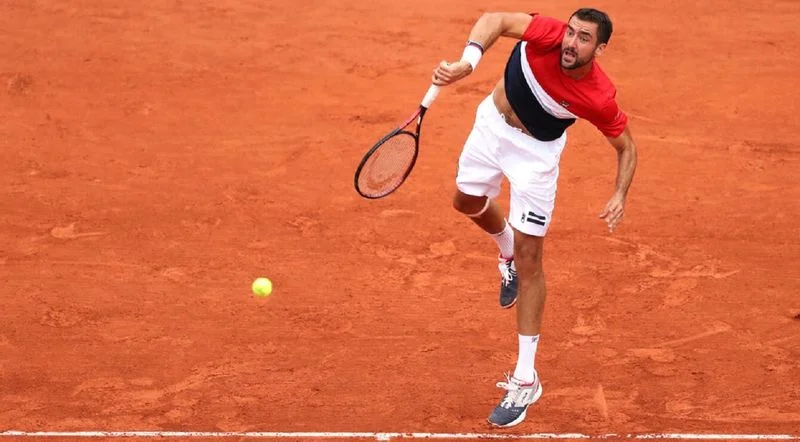 Марин Чилич - Стив Джонсон