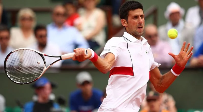 Новак Джокович - Фернандо Вердаско Новак Джокович - Фернандо Вердаско