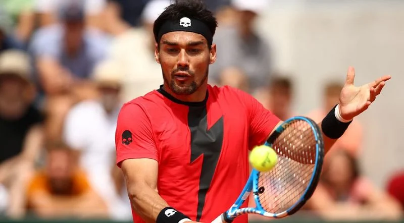 Марин Чилич - Фабио Фоньини Марин Чилич - Фабио Фоньини