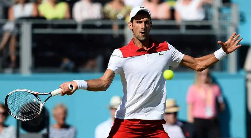 Жереми Шарди - Новак Джокович