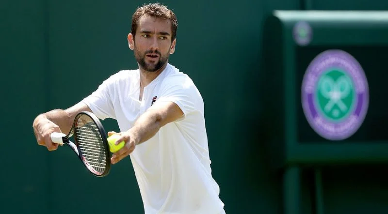 Марин Чилич - 