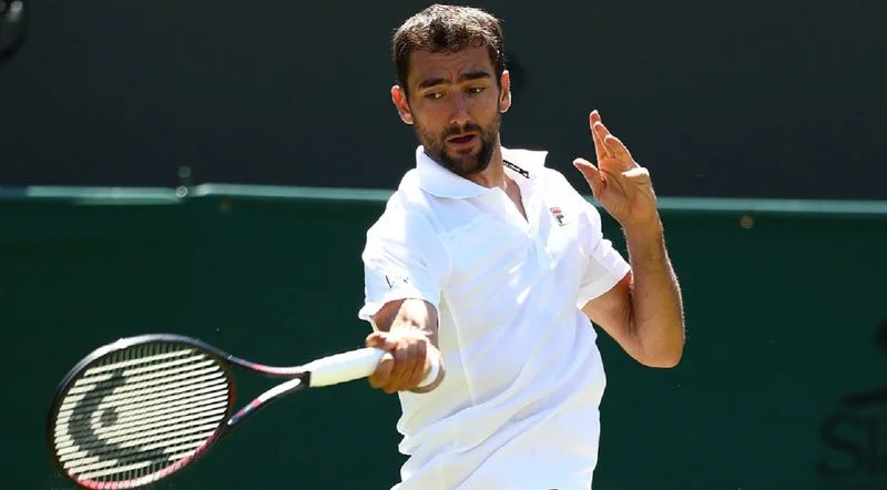 Марин Чилич - Гвидо Пелья Марин Чилич - Гвидо Пелья