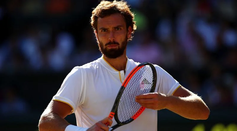 Дамир Джумхур - 