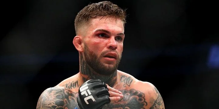  - Ти Джей Диллашоу